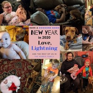 Meet your Posher, Anita